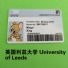 Զֿ ӢȴѧUniversity of LeedsӰӶ߿