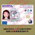 Զֿ INTERPOL ID COSչʾӰӵ;